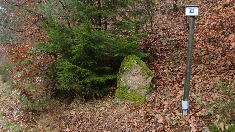 Ritterstein Nr. 112-3 R. Forsthaus Mückenwies.JPG - Ritterstein Nr.112  R. Forsthaus Mückenwies                               